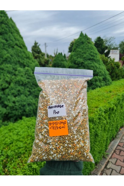 Osmocote Pro 19-9-10+2MgO+TE 